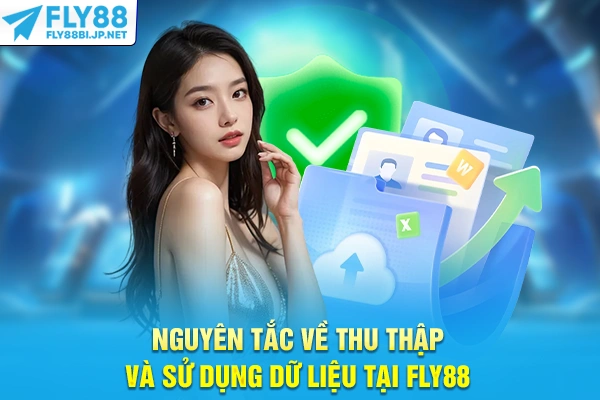 Quyền Riêng Tư - Chính Sách Bảo Vệ Dữ Liệu Cá Nhân 2025 6 Nguyên tắc về thu thập và sử dụng dữ liệu tại FLY88